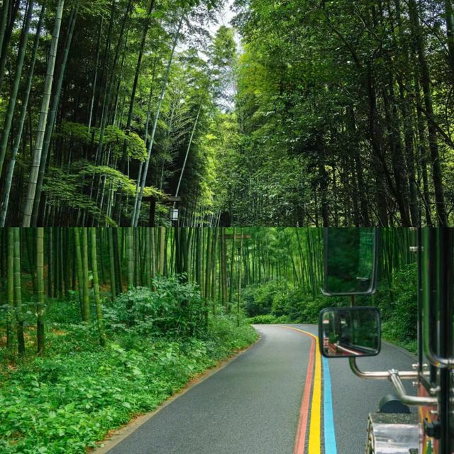 江蘇溧陽南山竹海，秘境之旅等你來