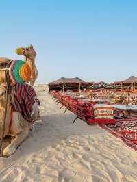 🌟 Abu Dhabi's Desert Oasis: Top Hotel Picks 🌟