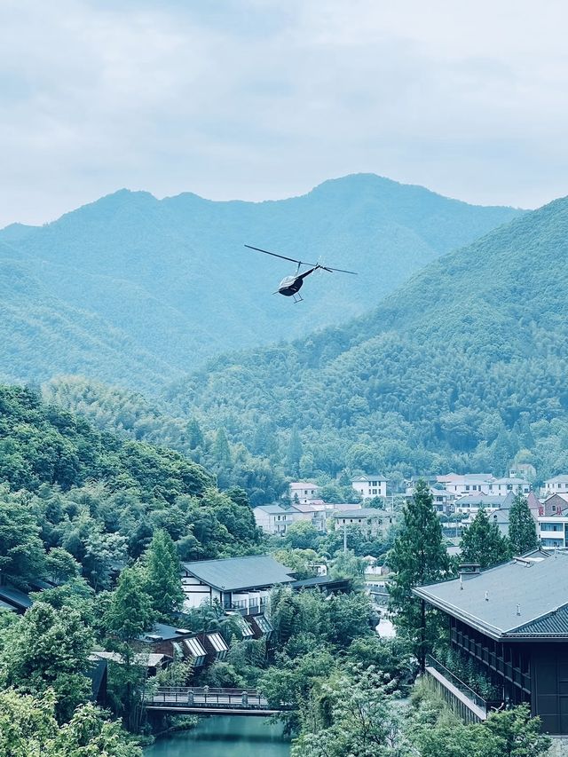 江浙沪暑期溜娃｜去诸暨芳草地度假酒店吧