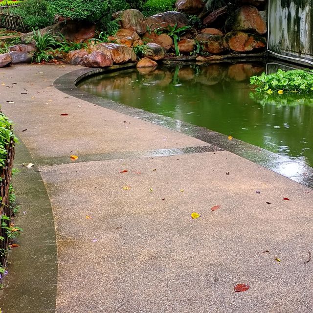 尋訪-韶城《叁拾玖》雨中漫步“西橋公園”