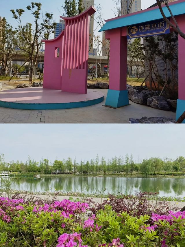 長沙周邊遊——洋湖濕地公園