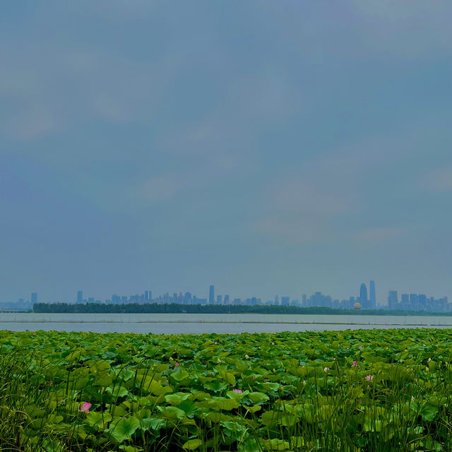 Wuhan - A travellers dream