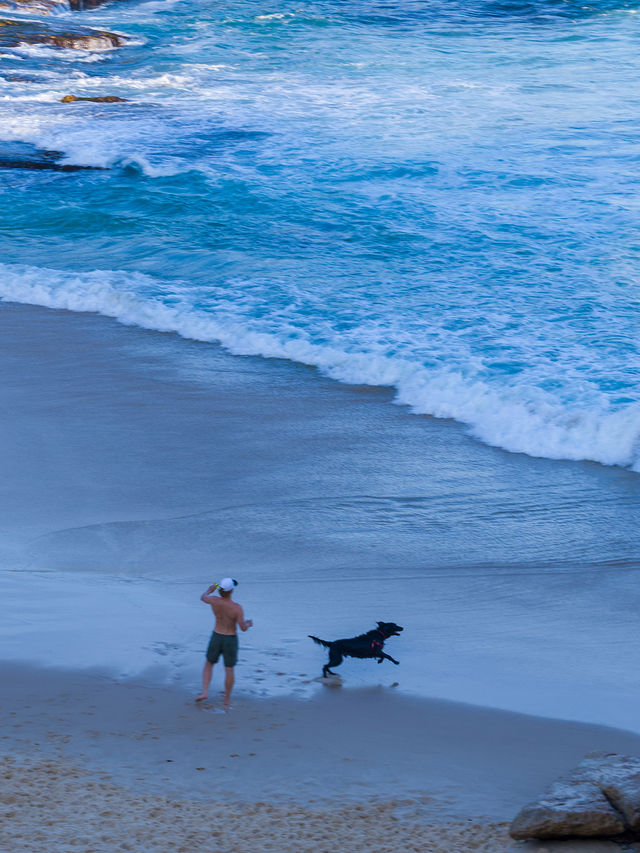 This Sydney coastal walk traverses six eastern beaches🏖️ in the region.