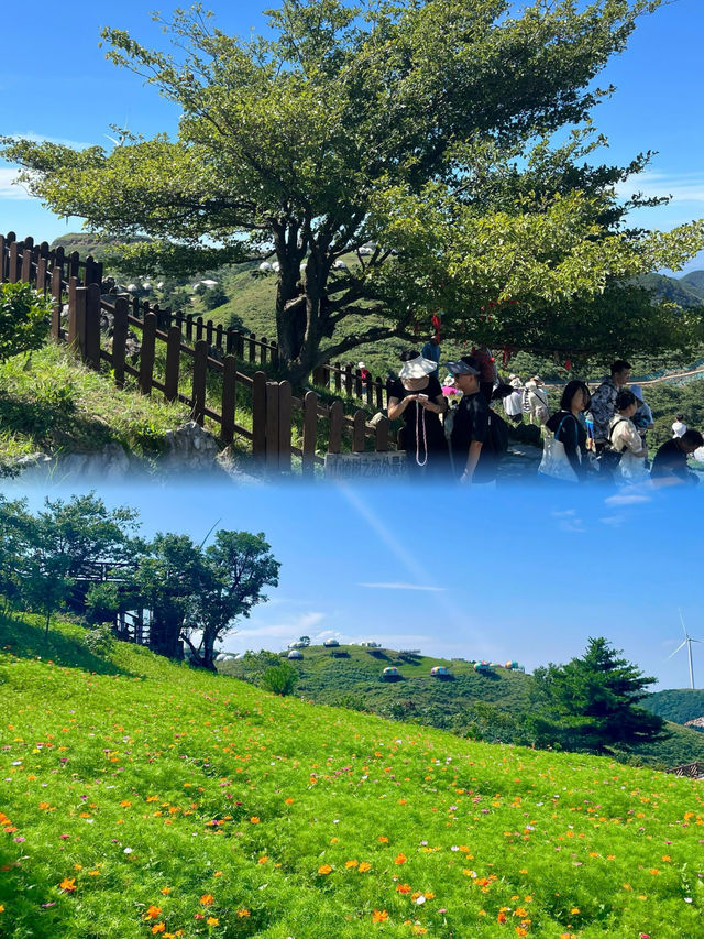 周末來宜昌過一個21℃的夏天