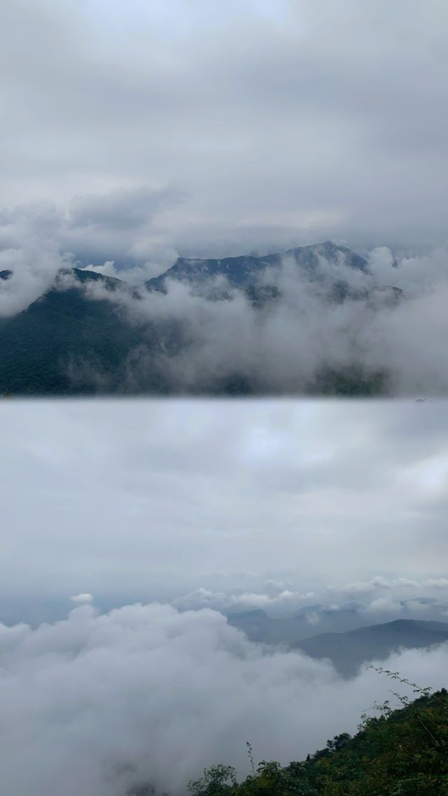 周末想逃離城市熱浪？快來崇州