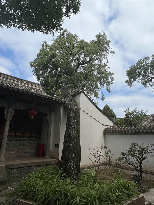 天水麻辣燙之行∣南郭寺，沒有南郭先生，卻有杜少陵