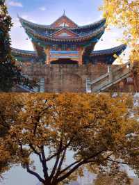 接下來的武漢,這10個地方可謂賞秋天花板。