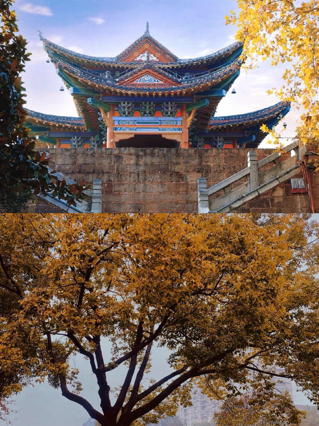 接下來的武漢,這10個地方可謂賞秋天花板。