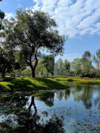 成都適合一個人閒逛的免費公園！摩訶池公園，來了就不想走!