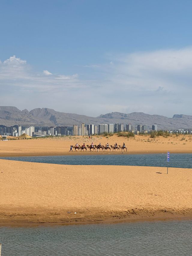 內蒙古烏海|有沙漠有湖泊有城市。