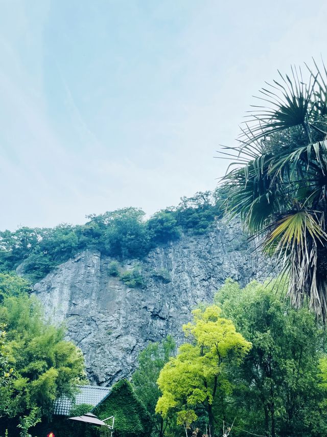 你可以永遠相信鎮江南山的景色。
