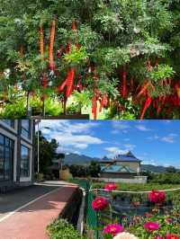 景亢村——寶藏傣族村寨。
