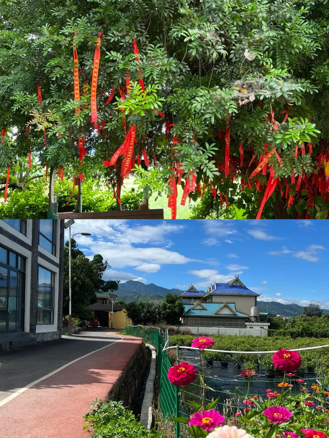 景亢村——寶藏傣族村寨。