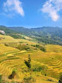 桂林龍脊梯田！住進秋天的童話裏。