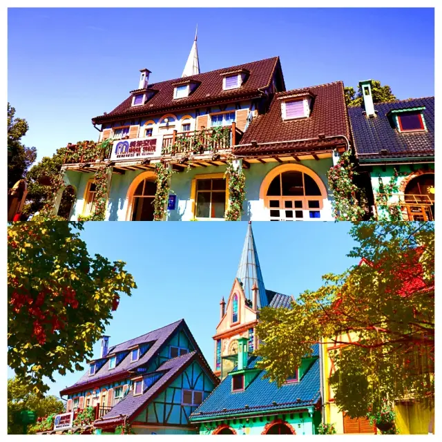 National Day trip - Wuhan Flower Expo, a joyful ocean.