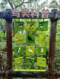 蛻變——和平公園。