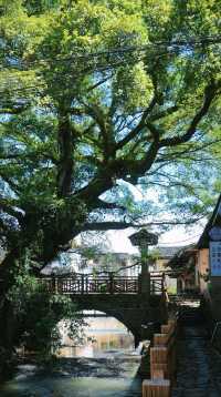 雲水謠土樓深度遊，穿越現實版《大魚海棠》。