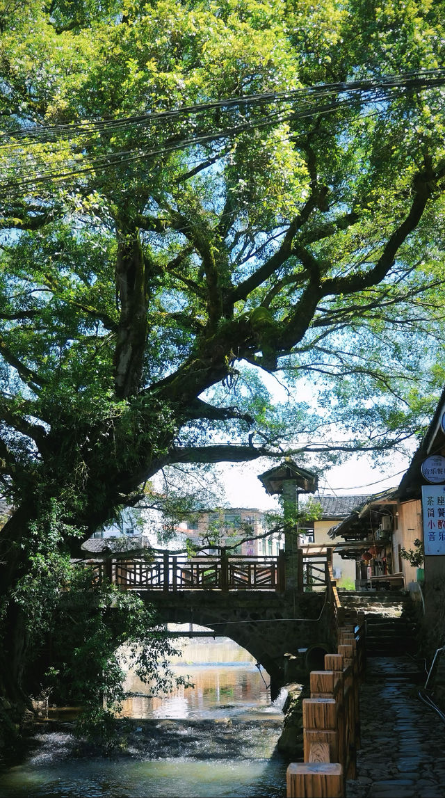 雲水謠土樓深度遊，穿越現實版《大魚海棠》。