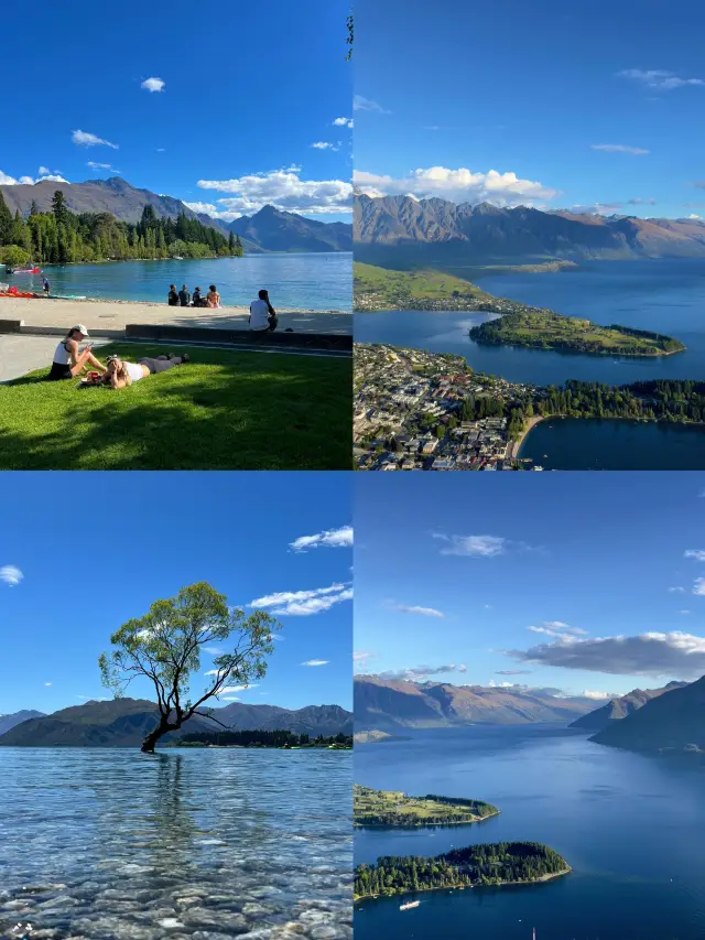 ニュージーランド南島8日間6人小グループツアー完全ガイド（費用明細付き）。