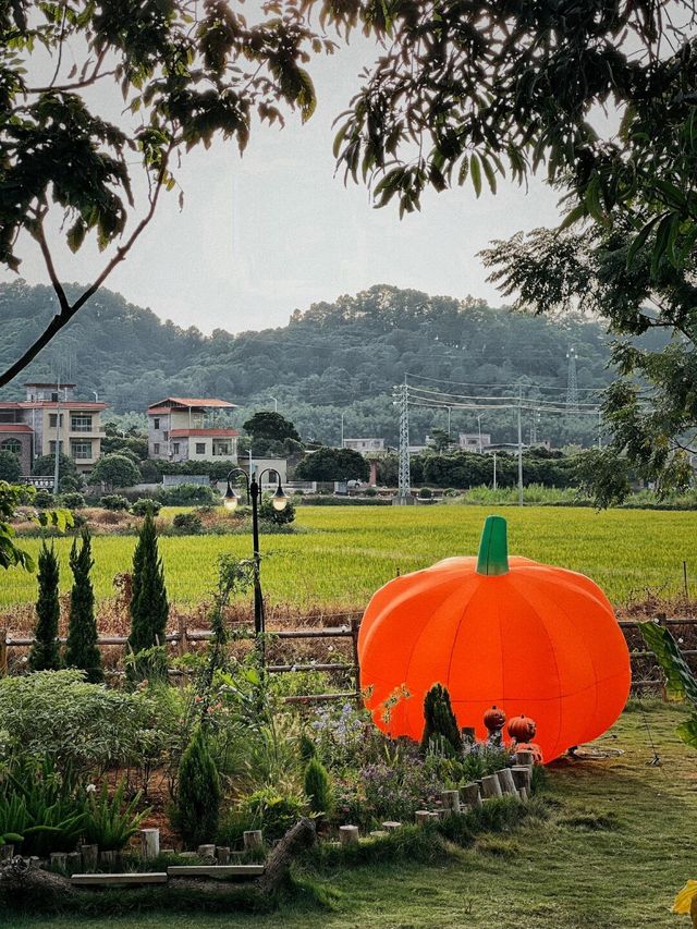 廣州增城非常 Chill 的南法莊園。