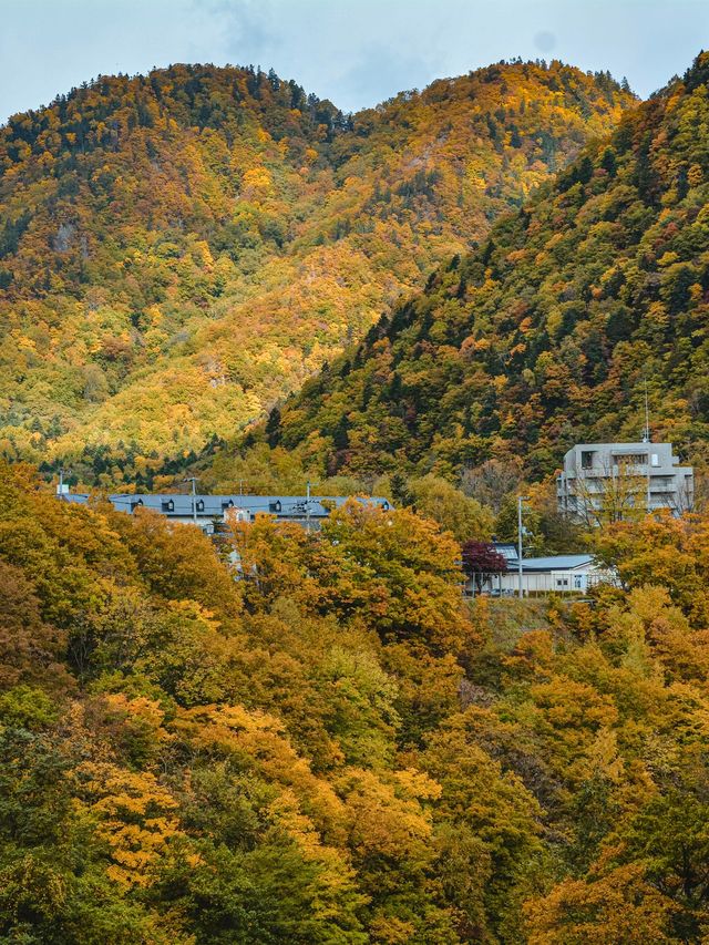 比京都小眾！走進札幌動漫裡的秋天。
