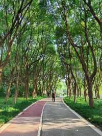 這個五星級公園也太好拍照太好逛了。