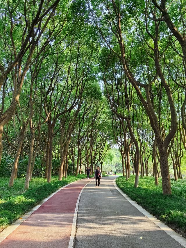 這個五星級公園也太好拍照太好逛了。
