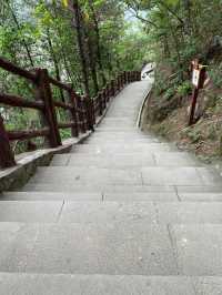 廣東肇慶羚羊峽谷森林公園‖最美古棧道。