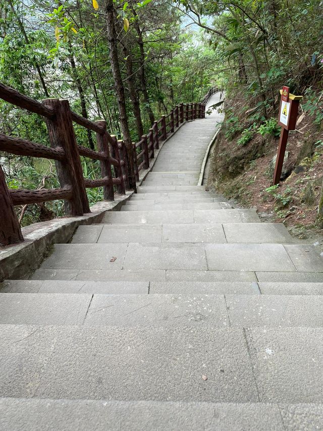 廣東肇慶羚羊峽谷森林公園‖最美古棧道。