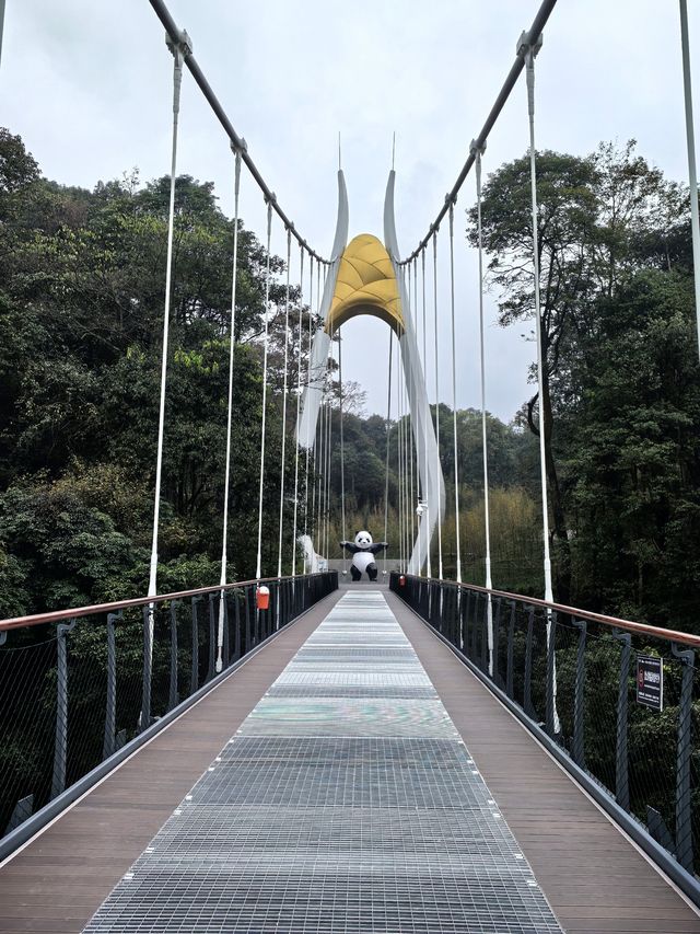 徒步看熊貓。