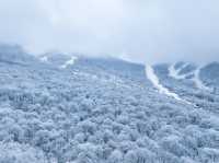 北大湖滑雪度假區 冰雪盛宴高山霧凇。