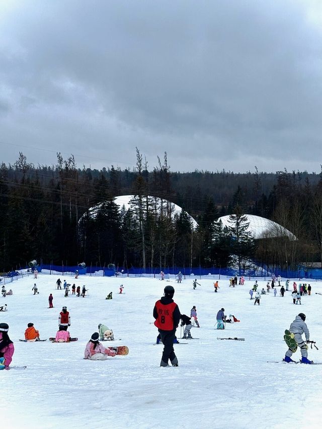 長白山和平滑雪場：冬日運動的理想之選。