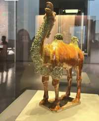 貴州博物館：藏品萬千，歷史與文化的瑰寶。