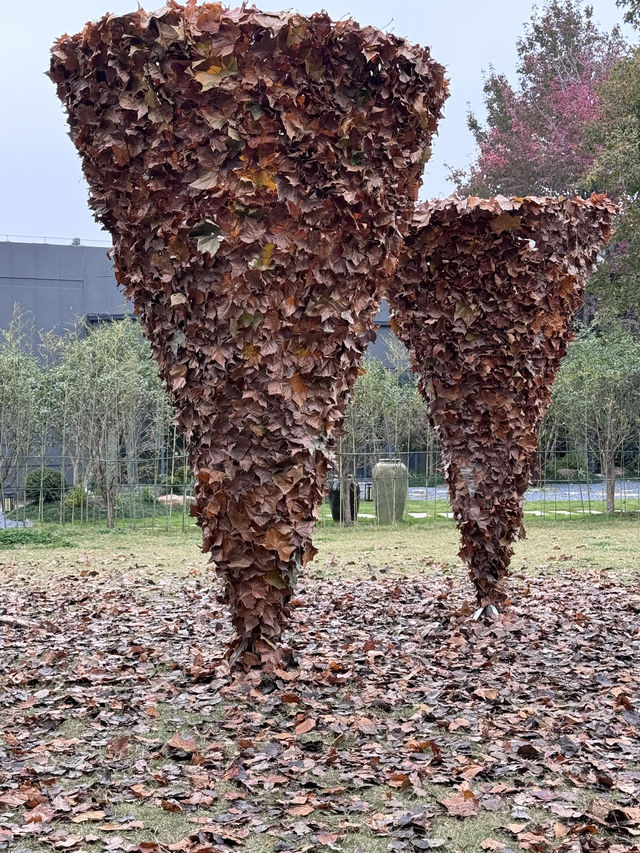 合肥印象：古韻今風，一城盡覽。