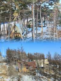 滑雪新手變身冰雪奇緣女主角的奇幻之旅。