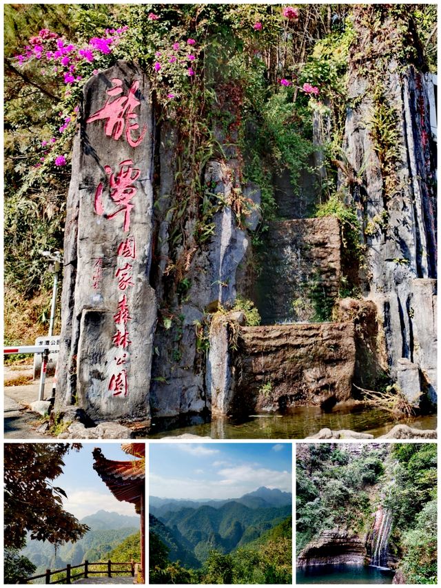 廣西桂平：龍潭國家森林公園「醉」一把氧。