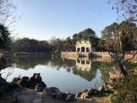 上海大觀園。