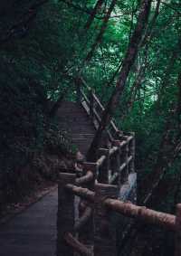 探索秦嶺秘境，感受道教文化魅力。