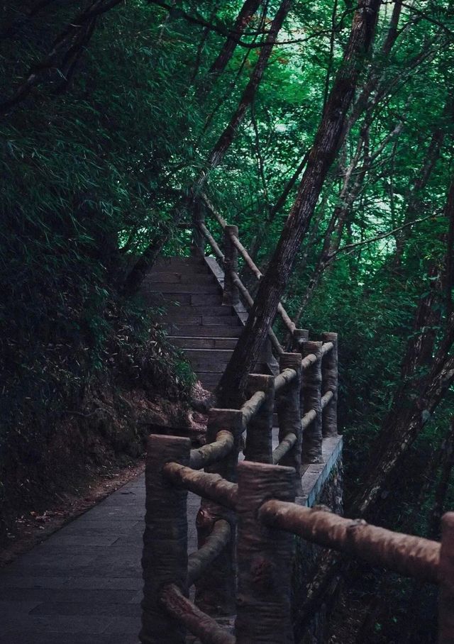 探索秦嶺秘境，感受道教文化魅力。