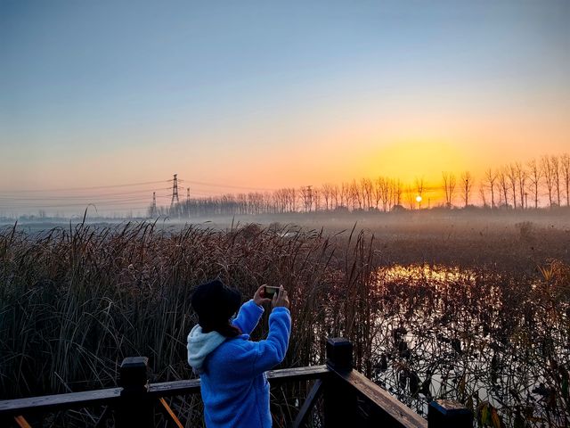 南京池杉湖濕地公園～最佳觀賞路線