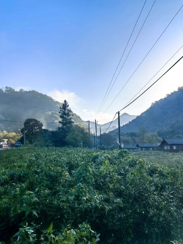 陽壩梅園溝 | 藏在隴南的人間仙境