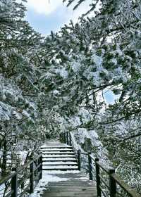 到看雪山的季節啦！！！