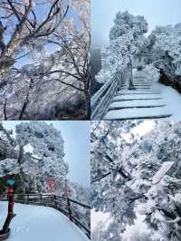 廣東人狂喜出發 3 小時到達看霧淞雲海美哭…