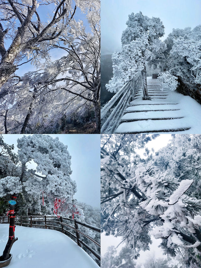 廣東人狂喜出發 3 小時到達看霧淞雲海美哭…