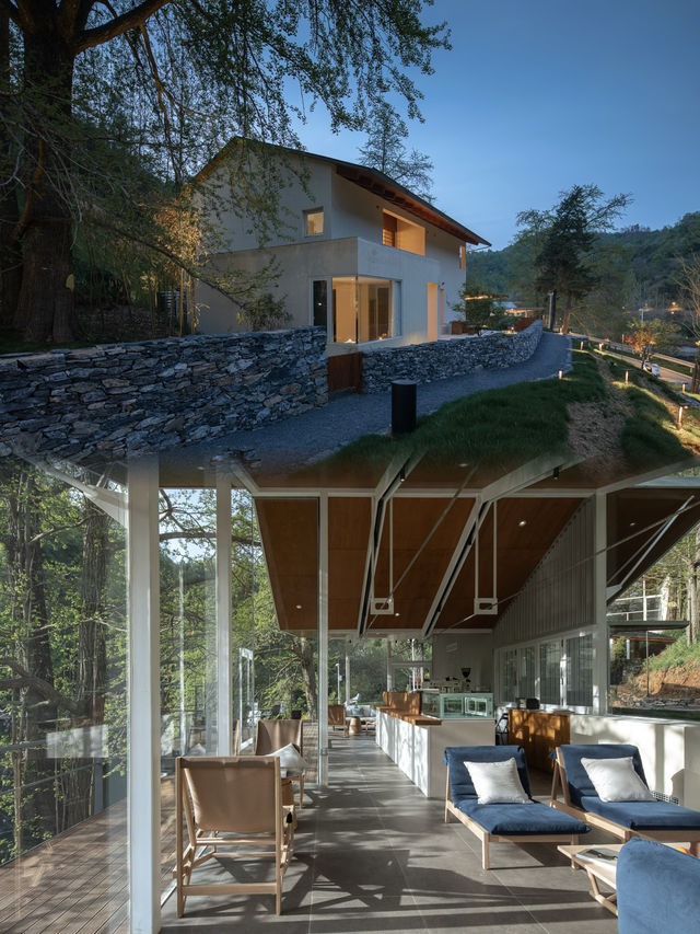 到隨州，探索銀杏秘境！