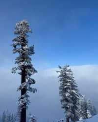 太浩湖的冬天，冰雪世界的童話之旅