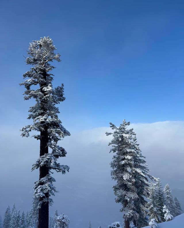 太浩湖的冬天，冰雪世界的童話之旅