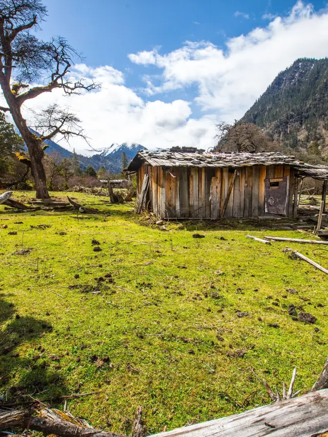 4일간의 린즈-보미 여행 초상세 가이드 꼭 저장하세요