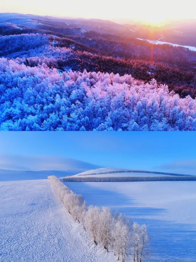 Harbin to Snow Town: 3-Day Skiing Trip Guide