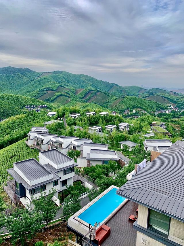 湖州慧心谷|住進山頂 villa 躺看千畝竹海茶園